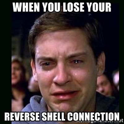 lose-revshell.jpg